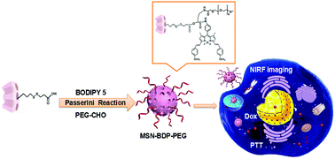 Graphical abstract: Constructing reduction-sensitive PEGylated NIRF mesoporous silica nanoparticles via a one-pot Passerini reaction for photothermal/chemo-therapy