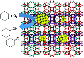 Graphical abstract: Generation of gold nanoclusters encapsulated in an MCM-22 zeolite for the aerobic oxidation of cyclohexane