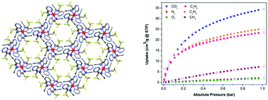Graphical abstract: A supramolecular porous material comprising Fe(ii) mesocates