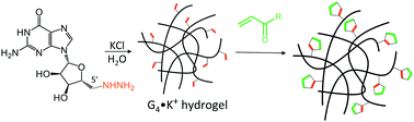 Graphical abstract: A G4·K+ hydrogel made from 5′-hydrazinoguanosine for remediation of α,β-unsaturated carbonyls