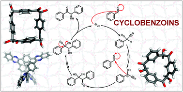 Graphical abstract: Benzoins and cyclobenzoins in supramolecular and polymer chemistry
