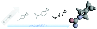 Graphical abstract: Hydrophilic azaspiroalkenes as robust bioorthogonal reporters