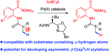 Graphical abstract: Weak, bidentate chelating group assisted cross-coupling of C(sp3)–H bonds in aliphatic acid derivatives with aryltrifluoroborates