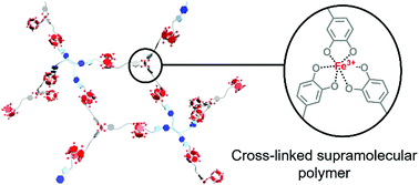 Graphical abstract: A multi-responsive cross-linked supramolecular polymer network constructed by mussel yield coordination interaction and pillar[5]arene-based host–guest complexation