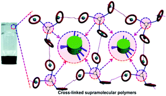 Graphical abstract: Preparation of cross-linked supramolecular polymers based on benzo-21-crown-7/secondary ammonium salt host–guest interactions