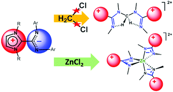 Graphical abstract: Interaction of an imidazolium-2-amidinate (NHC-CDI) zwitterion with zinc dichloride in dichloromethane: role as ligands and C–Cl activation promoters