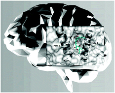 Graphical abstract: Chemoproteomic fishing identifies arzanol as a positive modulator of brain glycogen phosphorylase