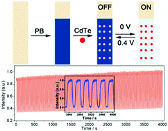 Graphical abstract: Reversible regulation of CdTe quantum dots fluorescence intensity based on Prussian blue with high anti-fatigue performance