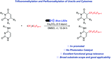 Graphical abstract: Catalyst-free and visible light promoted trifluoromethylation and perfluoroalkylation of uracils and cytosines