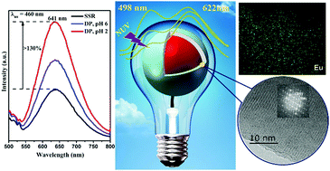 Graphical abstract: Remarkable photoluminescence of europium(ii)-doped phosphate cyan@red-emitting phosphors with highly dispersed luminescence centers