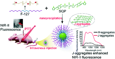 Graphical abstract: J-Aggregate squaraine nanoparticles with bright NIR-II fluorescence for imaging guided photothermal therapy
