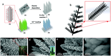 Graphical abstract: A bio-inspired 3D quasi-fractal nanostructure for an improved oxygen evolution reaction