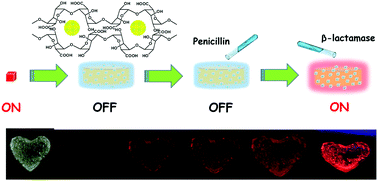 Graphical abstract: Diagnosis of penicillin allergy: a MOFs-based composite hydrogel for detecting β-lactamase in serum
