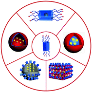 Graphical abstract: Supramolecular delivery systems based on pillararenes