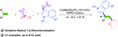 Graphical abstract: Copper-catalyzed oxidative intermolecular 1,2-alkylarylation of styrenes with ethers and indoles
