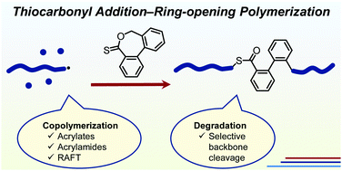Graphical abstract: Degradable vinyl copolymers through thiocarbonyl addition–ring-opening (TARO) polymerization