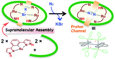 Graphical abstract: Metallo-supramolecular assembly of protic pincer-type complexes: encapsulation of dinitrogen and carbon disulfide into a multiproton-responsive diruthenium cage