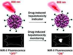 Graphical abstract: Organic semiconducting nanoprobe with redox-activatable NIR-II fluorescence for in vivo real-time monitoring of drug toxicity