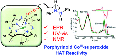 Graphical abstract: The hydrogen atom transfer reactivity of a porphyrinoid cobalt superoxide complex