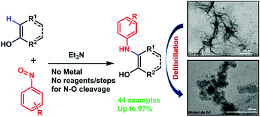 Graphical abstract: Metal free direct C(sp2)–H arylaminations using nitrosoarenes to 2-hydroxy-di(het)aryl amines as multifunctional Aβ-aggregation modulators