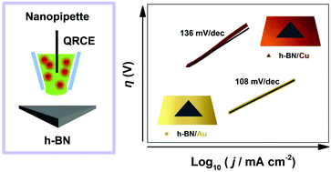Graphical abstract: Metal support effects in electrocatalysis at hexagonal boron nitride