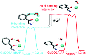 Graphical abstract: Accelerating water exchange in GdIII–DO3A-derivatives by favouring the dissociative mechanism through hydrogen bonding