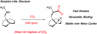 Graphical abstract: Pyrrolizidines for direct air capture and CO2 conversion