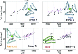 Graphical abstract: Synthesis and biochemical characterization of quasi-stable trimer models of full-length amyloid β40 with a toxic conformation