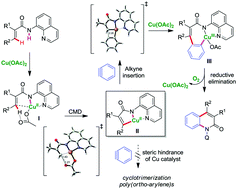 Graphical abstract: Computational and experimental studies on copper-mediated selective cascade C–H/N–H annulation of electron-deficient acrylamide with arynes