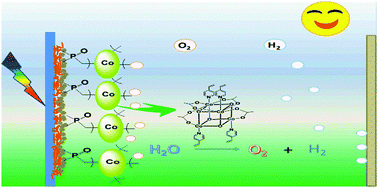Graphical abstract: Immobilization of a molecular cobalt cubane catalyst on porous BiVO4via electrochemical polymerization for efficient and stable photoelectrochemical water oxidation