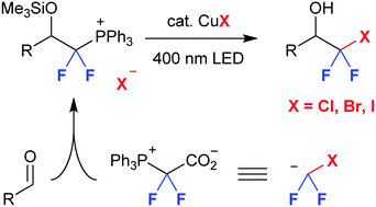 Graphical abstract: Light-mediated copper-catalyzed phosphorus/halogen exchange in 1,1-difluoroalkylphosphonium salts