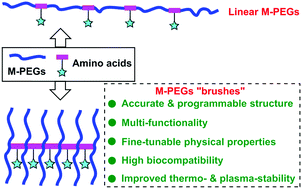 Graphical abstract: Monodisperse polyethylene glycol “brushes” with enhanced lipophilicity, and thermo and plasma stability