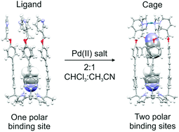 Graphical abstract: A mono-metallic Pd(ii)-cage featuring two different polar binding sites