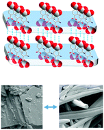 Graphical abstract: Carboxylic acid-protruding zincophosphate sheets exhibiting surface mechanochemical reactivity and intriguing nano-morphological reversibility