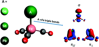 Graphical abstract: Triple bonds between iron and heavier group-14 elements in the AFe(CO)3− complexes (A = Ge, Sn, and Pb)