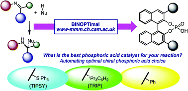 Graphical abstract: BINOPtimal: a web tool for optimal chiral phosphoric acid catalyst selection