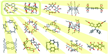 Graphical abstract: New opportunities in synthetic macrocyclic arenes