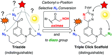 Graphical abstract: Site-selective conversion of azido groups at carbonyl α-positions into oxime groups leading triazide to a triple click conjugation scaffold