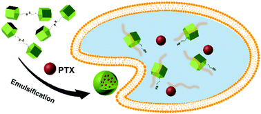 Graphical abstract: Dual stimuli-responsive bispillar[5]arene-based nanoparticles for precisely selective drug delivery in cancer cells