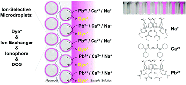 Graphical abstract: A rapid point-of-care optical ion sensing platform based on target-induced dye release from smart hydrogels