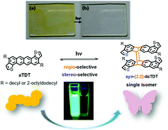 Graphical abstract: Regio- and stereo-selective [4+4] photodimerization of angular-shaped dialkyltetracenedithiophene