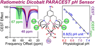 Graphical abstract: Dramatic enhancement in pH sensitivity and signal intensity through ligand modification of a dicobalt PARACEST probe
