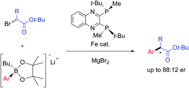 Graphical abstract: Iron-catalysed enantioselective Suzuki–Miyaura coupling of racemic alkyl bromides