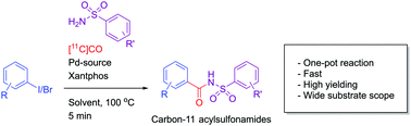 Graphical abstract: Efficient synthesis of carbon-11 labelled acylsulfonamides using [11C]CO carbonylation chemistry