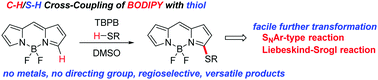 Graphical abstract: Transition-metal-free regioselective cross-coupling of BODIPYs with thiols