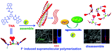 Graphical abstract: Anion induced supramolecular polymerization: a novel approach for the ultrasensitive detection and separation of F−