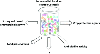 Graphical abstract: Antimicrobial random peptide cocktails: a new approach to fight pathogenic bacteria