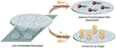 Graphical abstract: In situ synthesis of photoluminescence-quenching nanopaper for rapid and robust detection of pathogens and proteins