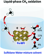 Graphical abstract: Selective oxidation of methane to methanol with H2O2 over an Fe-MFI zeolite catalyst using sulfolane solvent