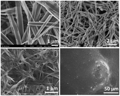 Graphical abstract: Structure and cleavage of monosodium urate monohydrate crystals
